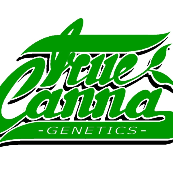 True Canna Genetics